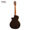 Mollo M-31 Acoustic Guitar ( Solid Top )