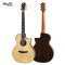 Mollo M-31 Acoustic Guitar ( Solid Top )