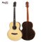 Mollo M-S6E Acoustic Electric Guitar ( Solid Top )