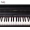 Roland RP701 Digital Piano