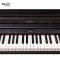 Roland RP701 Digital Piano