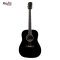 Badger BG-41 Acoustic Guitar