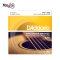 สายกีตาร์โปร่ง D’Addario EJ19 Phosphor Bronze Bluegrass : Light Top 012-056