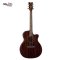 Dean Exotica Acoustic Electric Guitar with Aphex - Cocobolo Wood