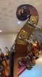 Corelli CB101 Double Bass (pre-order by import round)