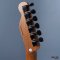 NEW!! Century กีต้าร์ไฟฟ้ารุ่น Dark Series Telecaster ใหม่ล่าสุด