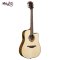 LAG Tramontane T300DCE  Acoustic Electric Guitar