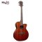 LAG Tramontane T90ACE Acoustic Electric Guitar