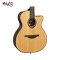 Lag TSE-701ACE Acoustic Electric Guitar - w/ Case