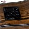 Lag TSE-701DCE Acoustic Electric Guitar - w/ Case