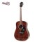 Mantic AG10S Acoustic Guitar ( Solid Top )