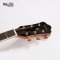 Mantic AG620SC Acoustic Guitar ( Solid Top )