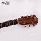 Mantic AG650SC Acoustic Guitar ( Solid Top )