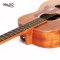 Mantic BG2SE ( Solid Top ) Mini Acoustic Electric Guitar