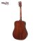 SAGA DS10 Acoustic Guitar ( Solid Top )