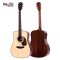 กีตาร์โปร่ง SAGA DS20 Acoustic Guitar ( Solid Top )