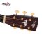 SAGA K1-GN Acoustic Guitar ( All Solid )