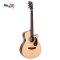 SAGA SA800C Acoustic Guitar ( Solid Top )