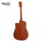 SAGA D10C Acoustic Guitar