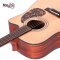 SAGA D10SC Acoustic Guitar ( Solid Top )