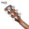 SAGA SF800C Acoustic Guitar