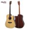SAGA SD10C Acoustic Guitar ( All Solid )