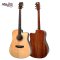 SAGA SD8C Acoustic Guitar ( All Solid )