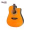 SAGA SL68CE Acoustic Electric Guitar ( All Solid )