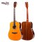 SAGA SL68 Acoustic Guitar ( All Solid )