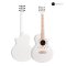กีต้าร์โปร่งรุ่น D-100F 36 นิ้ว Premium All-Solid Acoustic Guitar