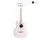 กีต้าร์โปร่งรุ่น D-100F 36 นิ้ว Premium All-Solid Acoustic Guitar