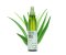 [DAISO] Kwail Nala Aloe Vera Moisture Aqua Soothing Gel Mist 310ml