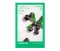 Innisfree Acai Berry Energy Mask 22mL x 10P