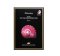 JMsolution Actime Pink Snail Brightening Mask 30mlx10sheet