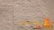 แผ่นหินเทียม OK STONE 10-3007 (หินทอง)