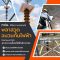 กฟผ. นำพลาสวูดตรากิเลนส้มติดตั้งที่เสาไฟฟ้า ป้องกันมูลนกและลดความเสี่ยงไฟฟ้าลัดวงจร
