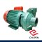 RJ-150 (380V) ปั๊มหอยโข่งบอดี้เหล็ก มอเตอร์ขดลวดทองแดง ขนาด 2" x 2" ใบพัดเหล็กหล่อ ส่งสูงสุด 18 เมตร กระแสไฟ 380V CHIPEN