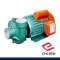 RJ-150A (220V) ปั๊มหอยโข่งบอดี้เหล็ก มอเตอร์ขดลวดทองแดง ขนาด 2" x 2" ใบพัดเหล็กหล่อ ส่งสูงสุด 18 เมตร กระแสไฟ 220V CHIPEN