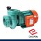 RJ-170 (380V) ปั๊มหอยโข่งบอดี้เหล็ก มอเตอร์ขดลวดทองแดง ขนาด 3" x 3" ใบพัดทองเหลือง ส่งสูงสุด 20 เมตร กระแสไฟ 380V CHIPEN