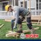 GBH2-26 (06112534K0) สว่านโรตารี่ระบบ SDS plus 3 ระบบ 26 มม. 830 วัตต์ 3 จูล BOSCH สว่านเจาะปูน สว่านบ๊อช