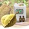 กลิ่นทุเรียน Durian Flavor