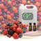 กลิ่นผลไม้รวมเบอรี่  Mixed Berry  Flavor