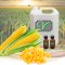 กลิ่นข้าวโพด Corn Flavor
