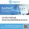 Hygiena International Ltd.