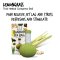 ลูกประคบสมุนไพรสูตรตะไคร้ Lemongrass Herbal Compress Ball