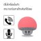 ลำโพงบลูทูธสำหรับ ไอแพด ไอโฟน โทรศัพท์แอนดรอยด์ แล็ปท็อป Mini Wireless Speaker For iPad, iPhone, Android Phones,Laptop