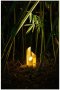 Outdoor LED  Bamboo