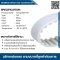 Timing-belt-T10-006