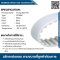 spec_STD8M-01