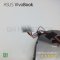 พัดลมโน๊ตบุ๊ค ASUS รุ่น DFSCK22D05883D อะไหล่ OEM คุณภาพสูง สำหรับ VivoBook 14X/15X โครงสร้างตรงรุ่น หัวต่อ 5 พิน 4 สาย (PWM) ไม่รวมฮีตซิงก์ เหมาะสำหรับทดแทนของเดิมที่เสียหรือมีเสียงดัง แนะนำถอดพัดลมเก่าออกมาเทียบรูปทรง ตำแหน่งน็อต และหัวคอนเนคเตอร์ให้ตรง